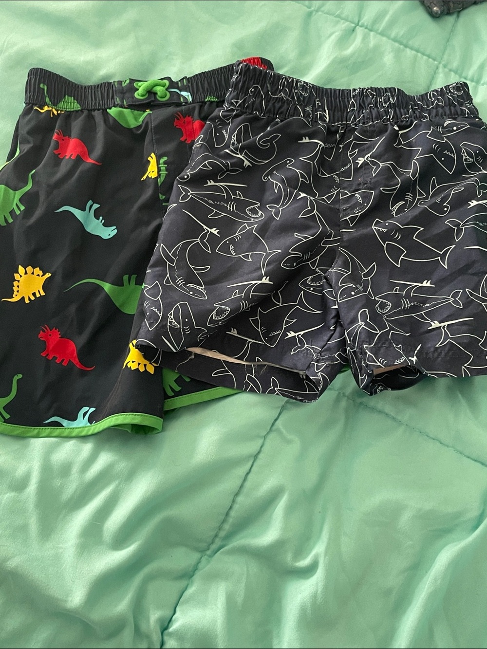 Kids' Black Shark and Dinosaur Swim Shorts - Two-Pack